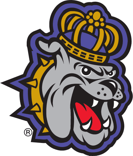 James Madison Dukes 2002-2012 Alternate Logo diy DTF decal sticker